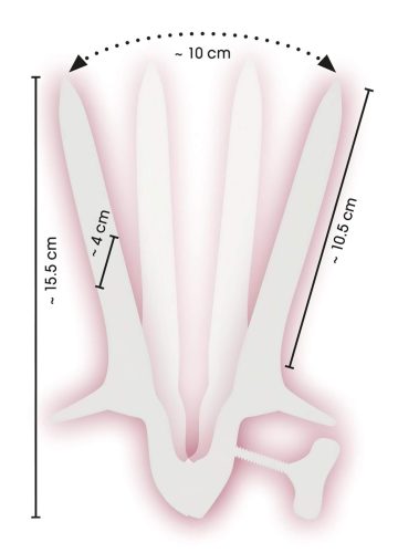 Fetish - Vagina Speculum (Hüvelykacsa) - acél