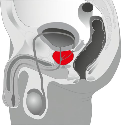 You2Toys - Prostate massager - forgó prosztata vibrátor (fekete)