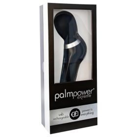   PalmPower Extreme Wand - akkus masszírozó vibrátor (fekete)