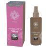 HOT Shiatsu Joyful - stimuláló spray nőknek (30 ml)