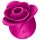 Satisfyer Pro 2 Modern Blossom - léghullámos csiklóizgató (pink)