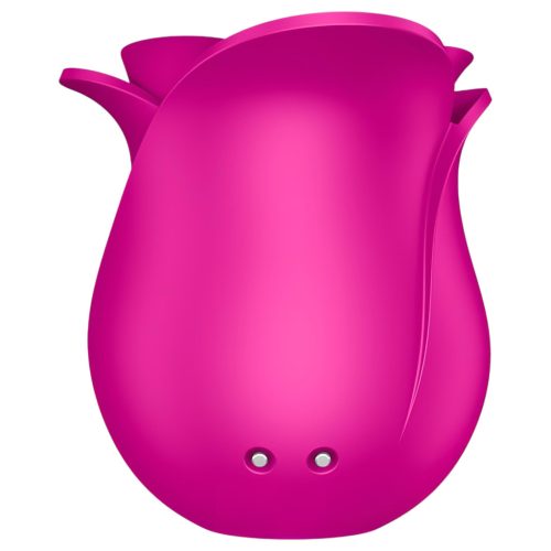 Satisfyer Pro 2 Modern Blossom - léghullámos csiklóizgató (pink)